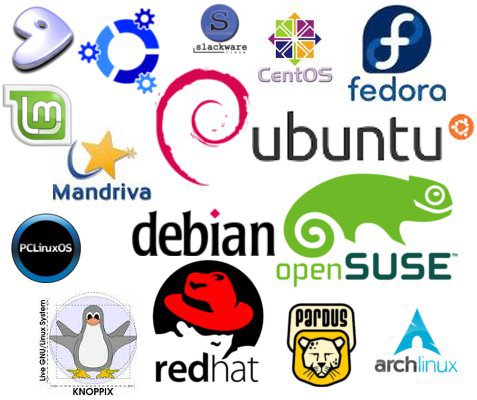 Résultat de recherche d'images pour "distributions linux"